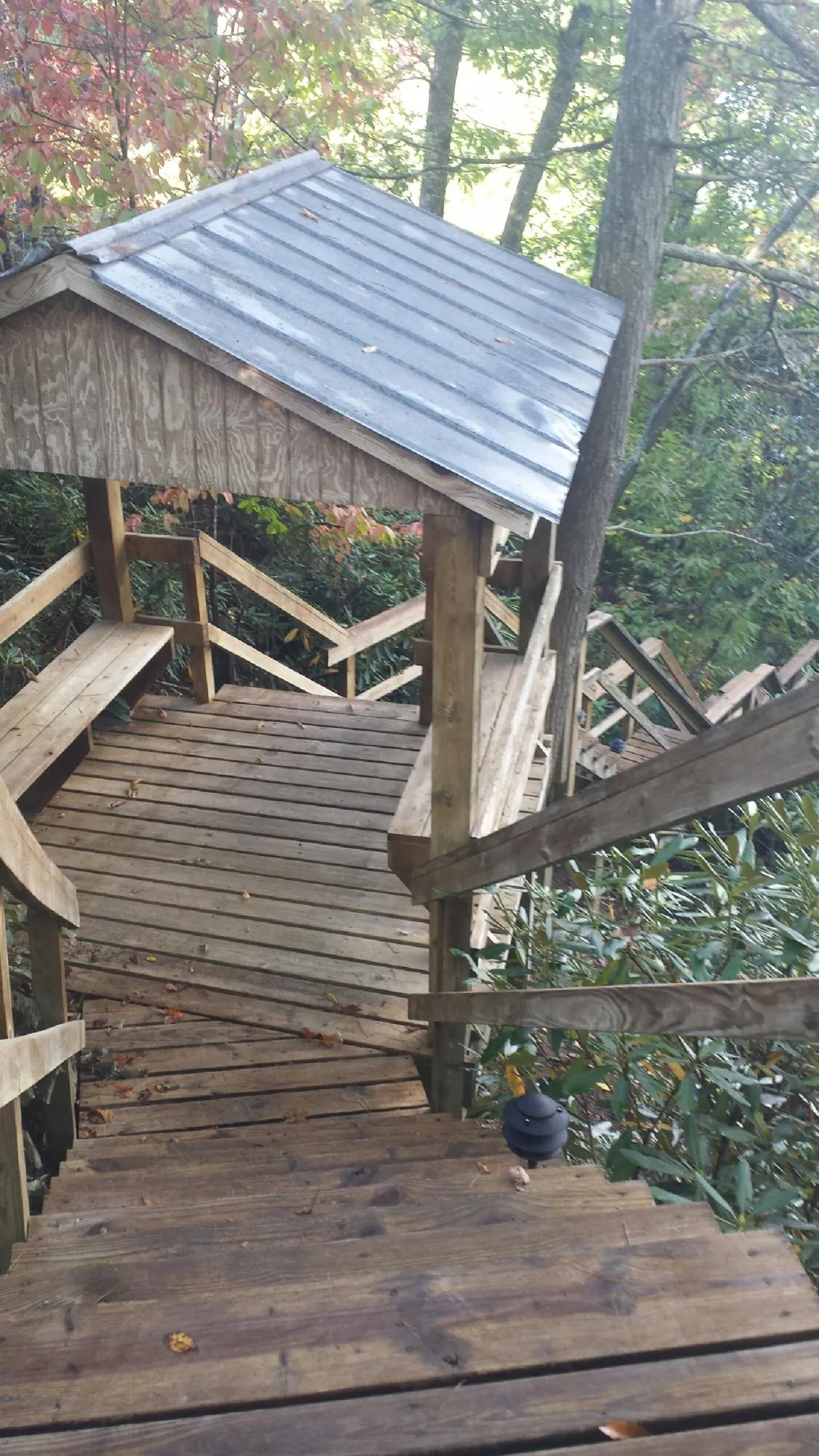 Metal roofed shelter over wooden steps on a wooded walkway — Skylight Repair & Installation work by our crew in Mukilteo