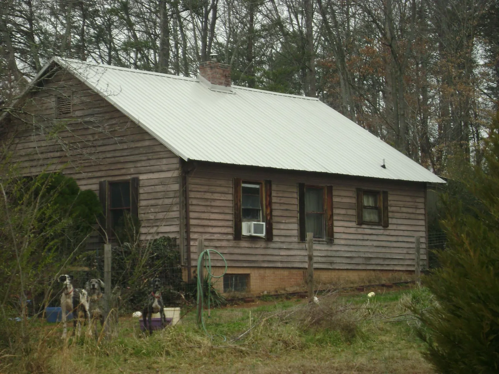 White metal roof on an old wood sided farmhouse, from a Metal Roof Installation job in Mukilteo